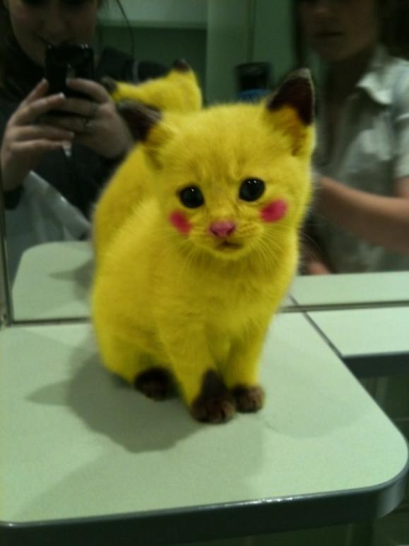 ����������լŮ�ı�����������ɣ�ͼ��